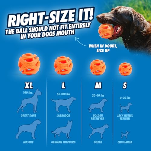 Chuckit! Air Fetch Ball Dog Toy, Medium (2.5 Inch Diameter), for Dogs 20-60 lbs, Ball - Medium,2 Count (Pack of 12) - size: Ball - Medium (Pack of 12)