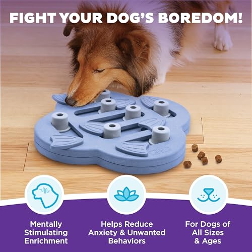 Outward Hound Nina Ottosson Dog Hide N' Slide Dog Toy Treat Puzzle, 11.6" - color: Dog Hide-N-Slide (Purple), size: 1 Count (Pack of 1)