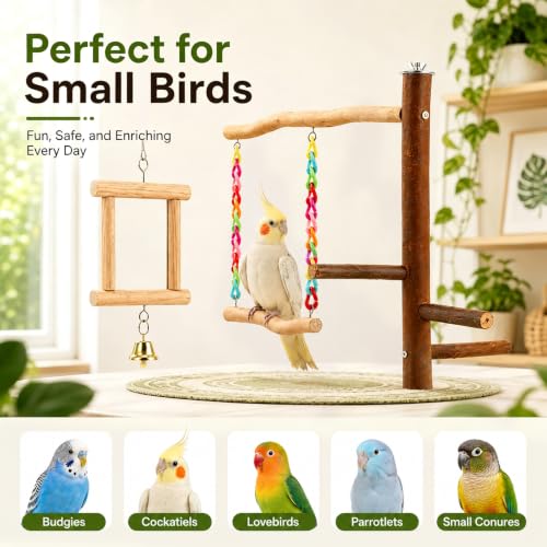 Bird Swing Toys with Perch Stand, Natural Wood Bird Play Stand with Swing and Mirror, Chewable Bird Cage Toy for Budgies Parakeets Cockatiels and Small Parrots