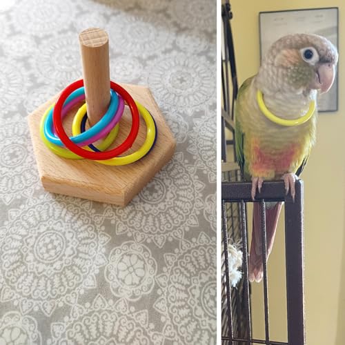 QBLEEV Bird Tabletop Toy, Parrot Activity & Training Trick Color Ring Toys - color: Color Circle B