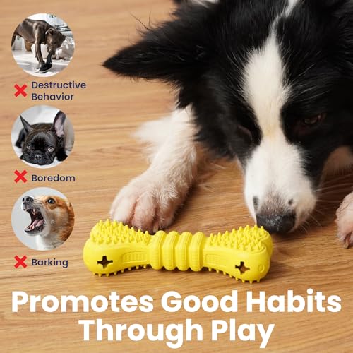 PAWSPIK Bone Treat Dispensing Enrichment Dog Chew Toy