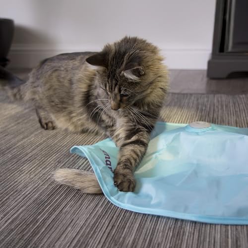 SmartyKat Electronic Motion/Moving Toys for Cats & Kittens, Battery Powered, Mimics Motion of Real Prey, Fun & Interactive Play - Multiple Styles - style: Hot Pursuit