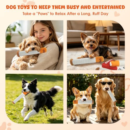 Wdmiya Funny Dog Toys for Small Medium Dogs, Squeaky Interactive Dog Toy