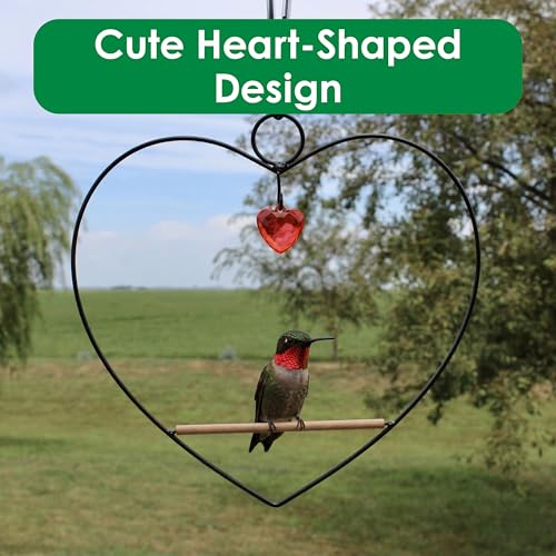 Songbird Essentials Tweet Heart Hummingbird Swing - Black - Wooden Dowel - color: Black