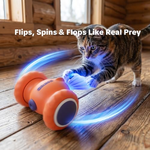 Interactive Cat Toys, Puppy Dog Toys - color: Orange