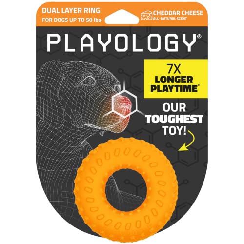 Playology Dual Layer Ring Dog Toy for Aggressive Chewers, Cheddar Scent - size: Medium, style: Cheddar Cheese