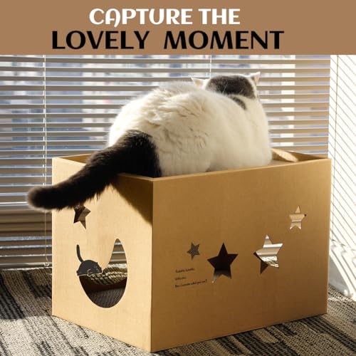 Cat Cardboard House with 2 PCS Scratching Pads，Large Cat Scratcher Bed Cat Scratchers Lounge for Indoor Cats with Corrugated Board Detachable Cat Scratcher Box for Cats(Star) - size: Wood-Star