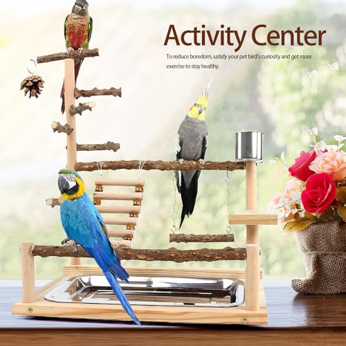 Bird Playground, Parrot Perch Stand, Natural Wood Bird Play Stands for Cockatiel Wood Perch Gym Playpen Ladder with Removable Tray and 2 Stainless Steel Cups, Bird Cage Accessories, Parrot Swing - color: Borown