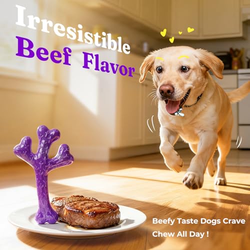 Frienhund 2-Pack Tough Dog Chew Toys for Aggressive Chewers, Beef, 20-90 Lb - color: Green & Purple-2-Pack