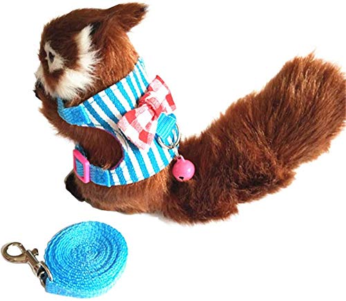 Litewoo Small Animal Harness Leash Set for Guinea Pig (Medium,Blue Stripe) - color: Blue Stripe, size: Medium