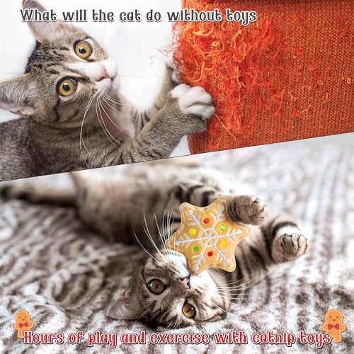 MALLMALL6 Catnip Toys for Cat - 5Pcs Christmas Gingerbread Catmint Interactive Cat Toy for Indoor Cats, Soft Plush Cat Supplies, Kitten Teething Chew Kick Toy Set, Pet Xmas Gifts for Cat Lover - style: Christmas Gingerbread