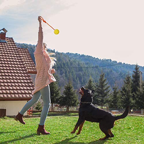 2 Pack Dog Ball, K9 Ball on Rope for Reward, Fetch, Play (6cm) - size: 2.36 in (Bright Color)