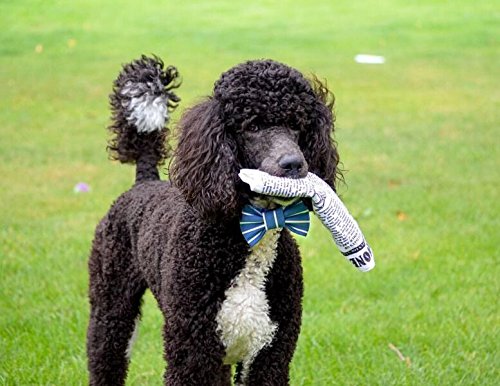 Pet Qwerks Plush Interactive Dog Toys - Newspaper Squeaker Toy - 10 in - size: 10 in