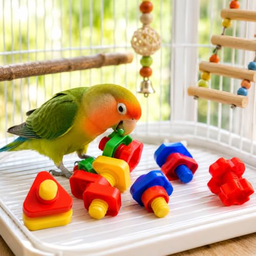 Bonka Bird Toys 3505 Pk6 Huge Nuts and Bolts Colorful Enticing Large Screw Interactive Foot Beak Throw Parrot Cockatoo Amazon African Grey Macaw Hyacinth