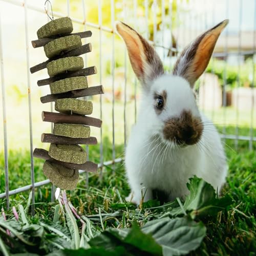 kathson Rabbit Chew Toys,Bunny Grind Teeth 100% Natural Organic Apple Wood Stick Improve Rodent Health Rabbits Hamsters Squirrel Guinea Pig(4 Pieces) - color: 【Style C】