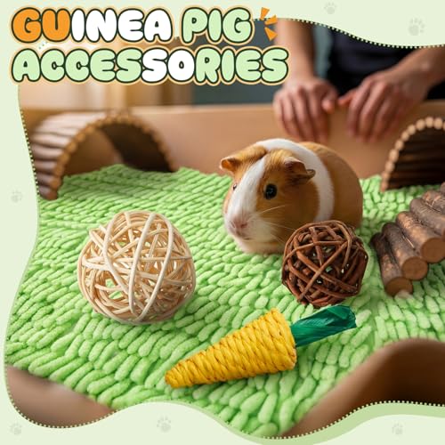 Guinea Pig Starter Kit, 12-Piece Cage Set,Stylish Style,Green - color: Green, style: Stylish Style
