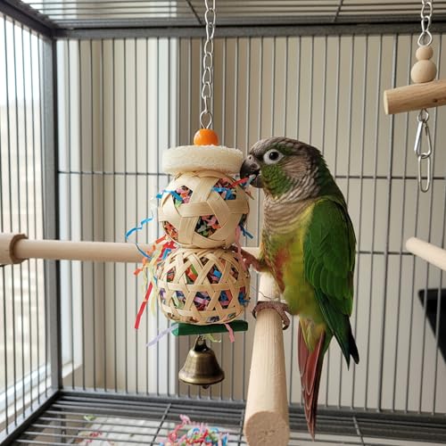 Bird Toys, 2pcs Set for Small & Medium Parrots