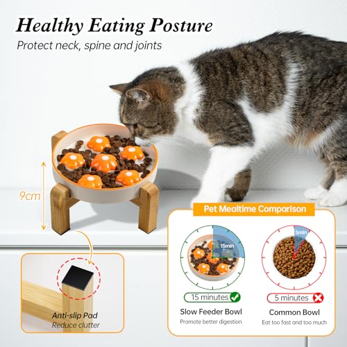 Elevated Ceramic Slow Feeder Cat Bowl with Anti-Slip Bamboo Stand - color: Orange + Stand