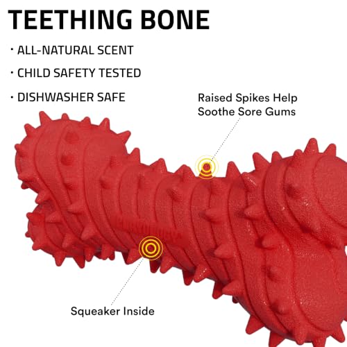 Playology Puppy Teething Bone Dog Chew Toy - Medium, Beef Scent - size: Medium, style: Beef