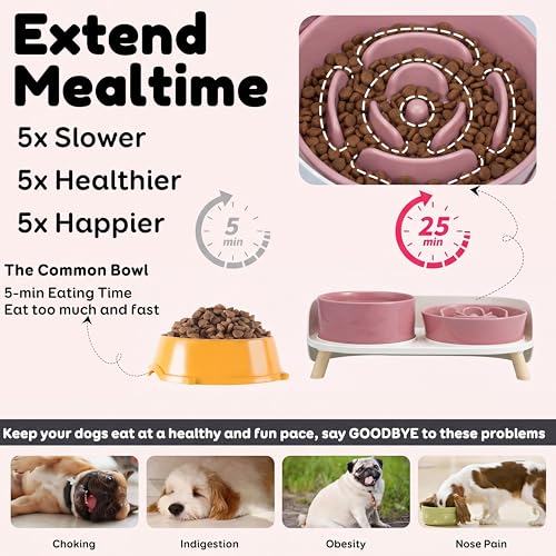 Elevated Slow Feeder Dog Bowls with Splash Proof Stand, Slow Eating 5X - color: Pink