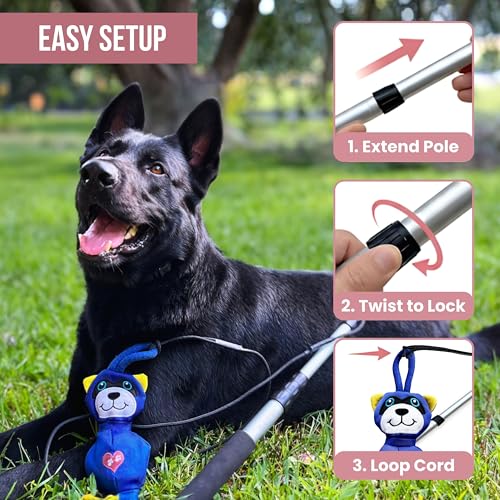 Flirt Pole for Dog Heavy Duty 35 Inch Teaser Wand with Raccoon Toy - color: Raccoon