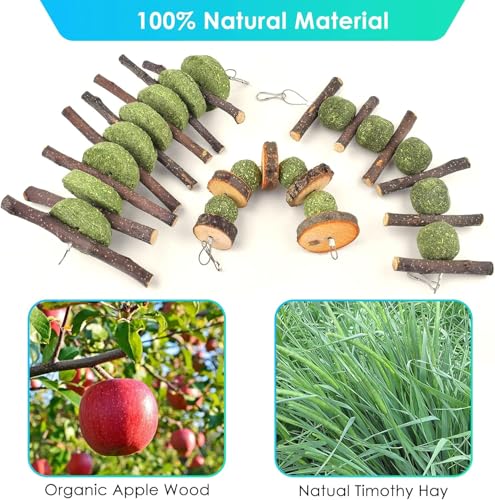 ERKOON Bunny Chew Toys, Rabbit Chew Toys for Teeth Grinding, Improve Dental Health, 100% Natural Apple Wood Timothy Grass Cake Treats for Rabbits Guinea Pigs Chinchillas Bunnies Hamsters (7 Pcs) - style: 7 Pcs