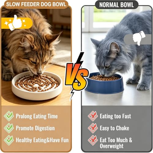 Ceramic Slow Feeder Dog Bowls，6.4inch Cat Slow Feeding Bowl for Small Breed Dogs and Cats,Set of 2 Fun Maze Interactive Bloat Stop Puzzle Bowls Dishwasher Safe - color: White