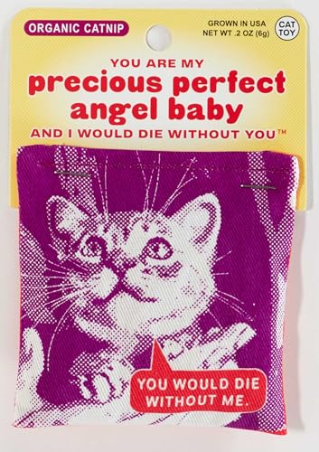 Blue Q Catnip - Cute Cat Toys for Biting w/Funny Graphics - Precious Angel - color: You are My Precious Perfect Angel Baby