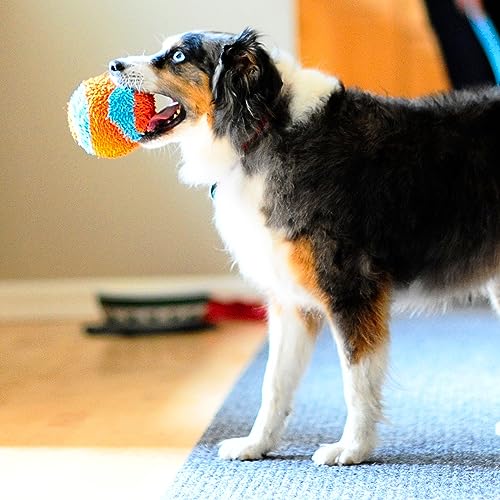 Chuckit! Indoor Fetch Ball and Air Fetch Football Dog Toy Bundle
