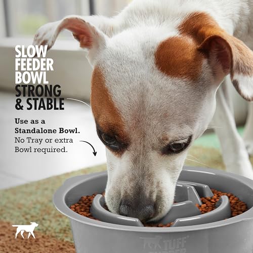 Tuff Pupper Slow Feeder Insert Bowl | Puzzle Maze Slows Down Eating | Elevated Feeder Tray Bowls | Standalone Dog Bowl | Pet Bowls Insert | Easy Clean Dishwasher Safe (2 Cups - Fits 7.5-8 Inch Hole) - size: 2 Cup - 7.5-8 Inch Feeder Holes