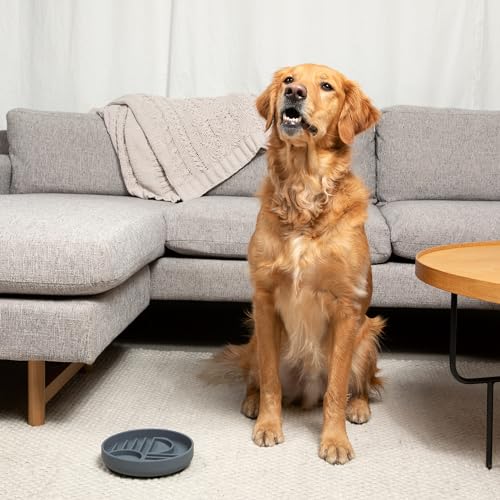 Slow Feeder Dog Bowl - Silicone Dog Bowl, Medium, 7.5" x 1.5" - Sage - color: Sage - Sunset Design, size: Medium (7.5” Across x 1.5” Tall)
