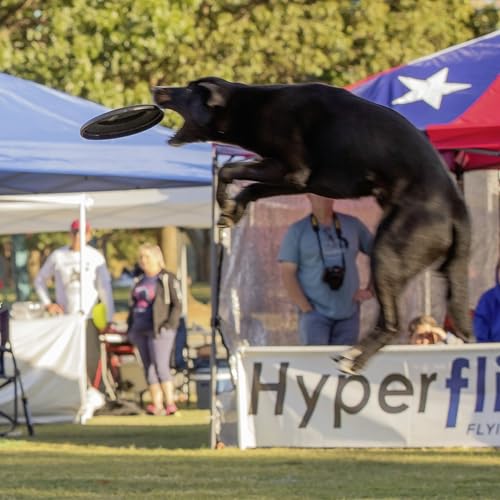 Hyperflite K-10 Jawz Puncture Resistant Dog Flying Disc, Medium-Large - color: Midnight (Black)