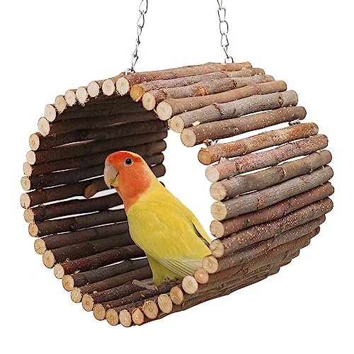 Bird Parrot Swing Toys, Hanging Bird Tree Caves, Natural Apple Wood Parrot Hammock, Bird Cage Accessories, Suitable for Little Bird Parakeets Cockatiels Lovebirds Hamster Rat (6.49" in Diameter) - color: Metal Chains Style, size: Small