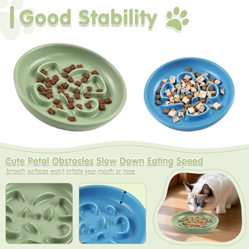 Cat Slow Feeder Bowl Set,2 Pcs Pastel Series Cat Plate for Dry and Wet Food - color: Blue and Green-A