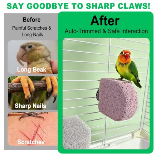 4Pcs Bird Beak Grinding Stone Lava Ledge Parrot Perch Stand Platform,Color - color: 4Pack Colorful | S