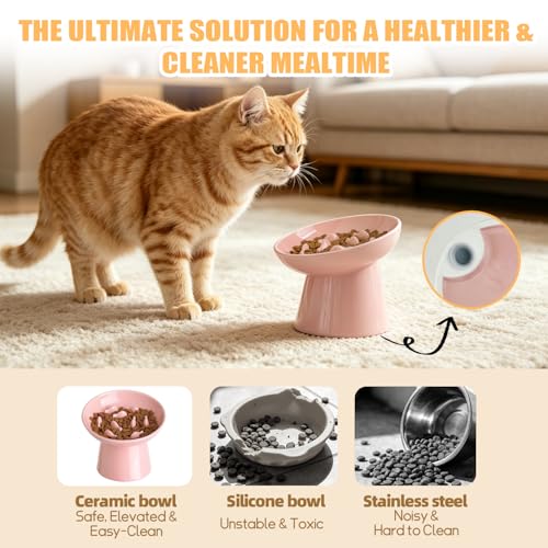 Ceramic Elevated Slow Feeder Cat Bowl - 6" Raised Cat Food Bowl for Bloat Relief & Anti-Vomiting, Whisker Friendly Ceramic Cat Slow Feeder for Indoor Cats, Kittens, Puppies - Pink(1pc) - color: Pink
