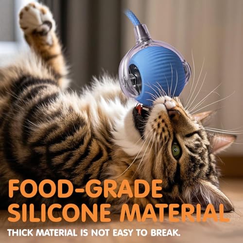 Rocfish Durable Interactive Cat Toys for Indoor Cats (blue01, 01) - color: blue01, size: 01