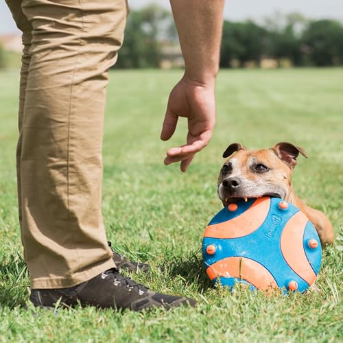 Chuckit! Whistle Flight Fetch Toy, Orange/Blue, for Medium to Large Dogs - size: 10.6"L x 1.2"W x 11.1"H