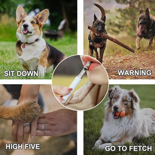 Dog Whistle,Adjustable Ultrasonic Silent Dog Whistle,Dog Whistle to Stop Barking Neighbors Dog,with Lanyard Professional Recall Dog Training Whistles,Dog Whistle to Make Dogs Come to You（B&W） (2)