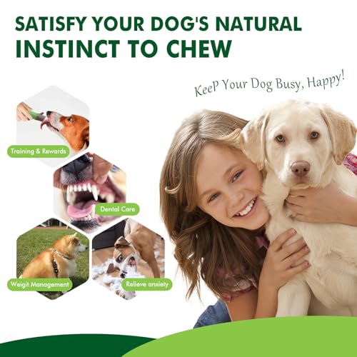 Durable Dog Chew Toys for Large Dogs - Tough Bone-Shaped Dental Chew with TPR Rubber & Wood Fiber, Teething & Aggressive Chewer Toys for Medium/Large Breed, Long-Lasting Teeth Cleaning (4 Pack Set) - color: 4 Styles Set