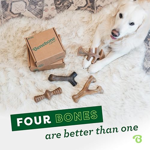 Benebone Large Dog Toys for Aggressive Chewers – Under 90 lbs, 4 Count, Large (Pack of 8) - size: Large (Pack of 8), style: 4 Pack