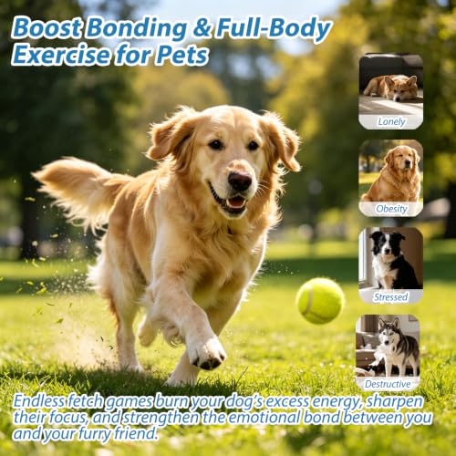 Tennis Ball Launcher for Dogs, Launches 30+ ft, Red - color: Red