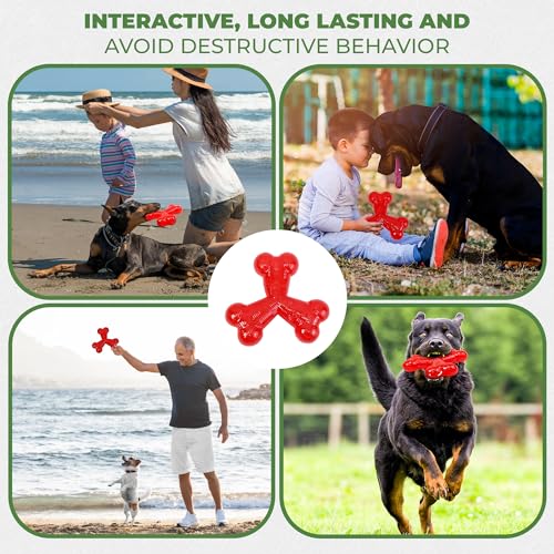 SPOT Play Strong Trident Bone - Durable TPR Long Lasting Dog Chew for Aggressive Chewers, Hole for Treats, Virtually Indestructible Toy for Large Dogs & Puppies up to 90lbs - 6 inch - style: Trident Bone
