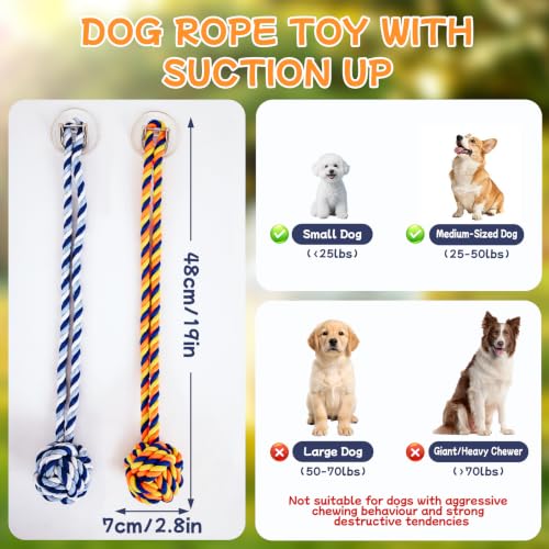 Dog Rope Toy with Suction Cup Interactive Tug of War Toy 2Pcs - size: suction cup