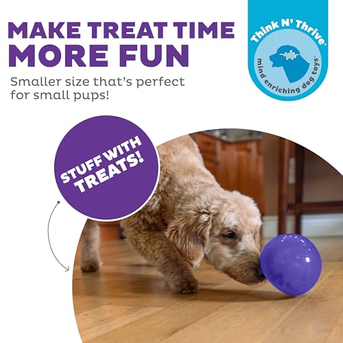 Outward Hound Lil' Snoop Interactive Treat Dispensing Dog Toy, Purple, 3.9" - color: Purple Lil Snoop