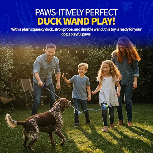 Pet Fit For Life 31" Flirt Pole for Dogs with Plush Duck Squeaky Toy - style: Duck Wand (Attachment Not Interchangeable)