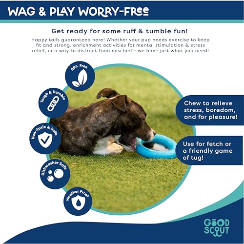 Good Scout Rubber Ring for Tugging & Chewing, Best Fetch Toy for Aggressive Chewers, No Stuffing Toy for Medium & Large Dogs - style: Rubber Ring