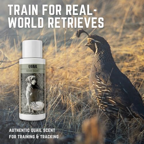 Game Training Scents for Hunting Dogs - Field-Train Your Dog to Track and Retreive for Upland Hunts - size: Scent Kit, style: Quail