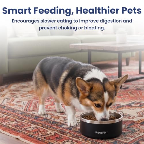 PawsPik Stainless Steel Double Wall Slow-Feed Puzzle Dog Bowl, 64-oz, Black - color: Eclipse Shadow Black