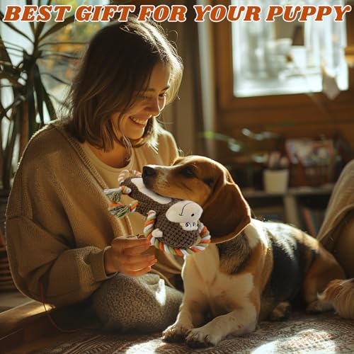 Squeaky Monkey Dog Toy for Large Dogs - style: Monkey Shape